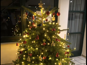 Vorschaubild für: Weihnachts-Mitsingkonzert